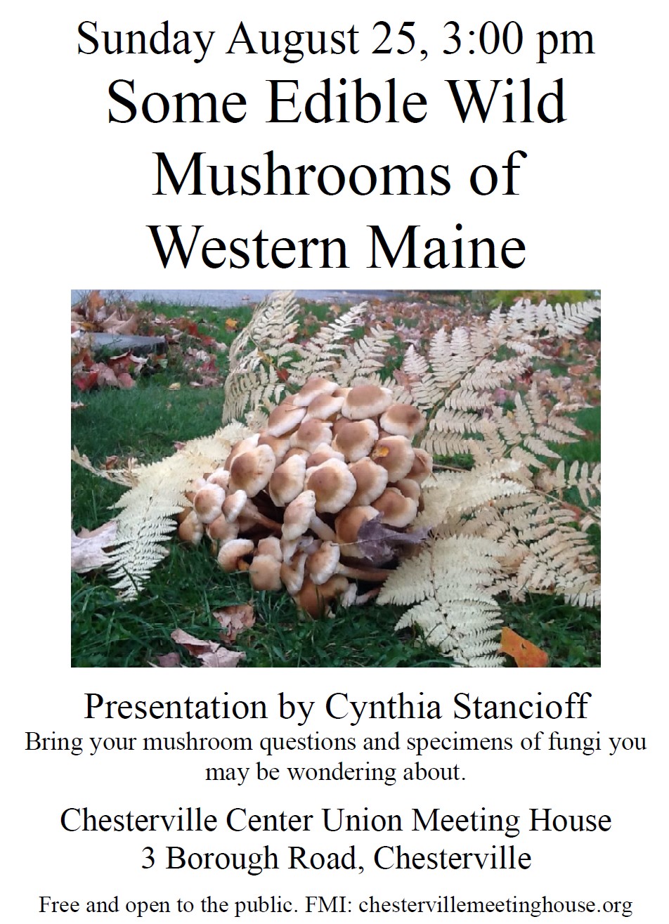 Fungi Talk poster
